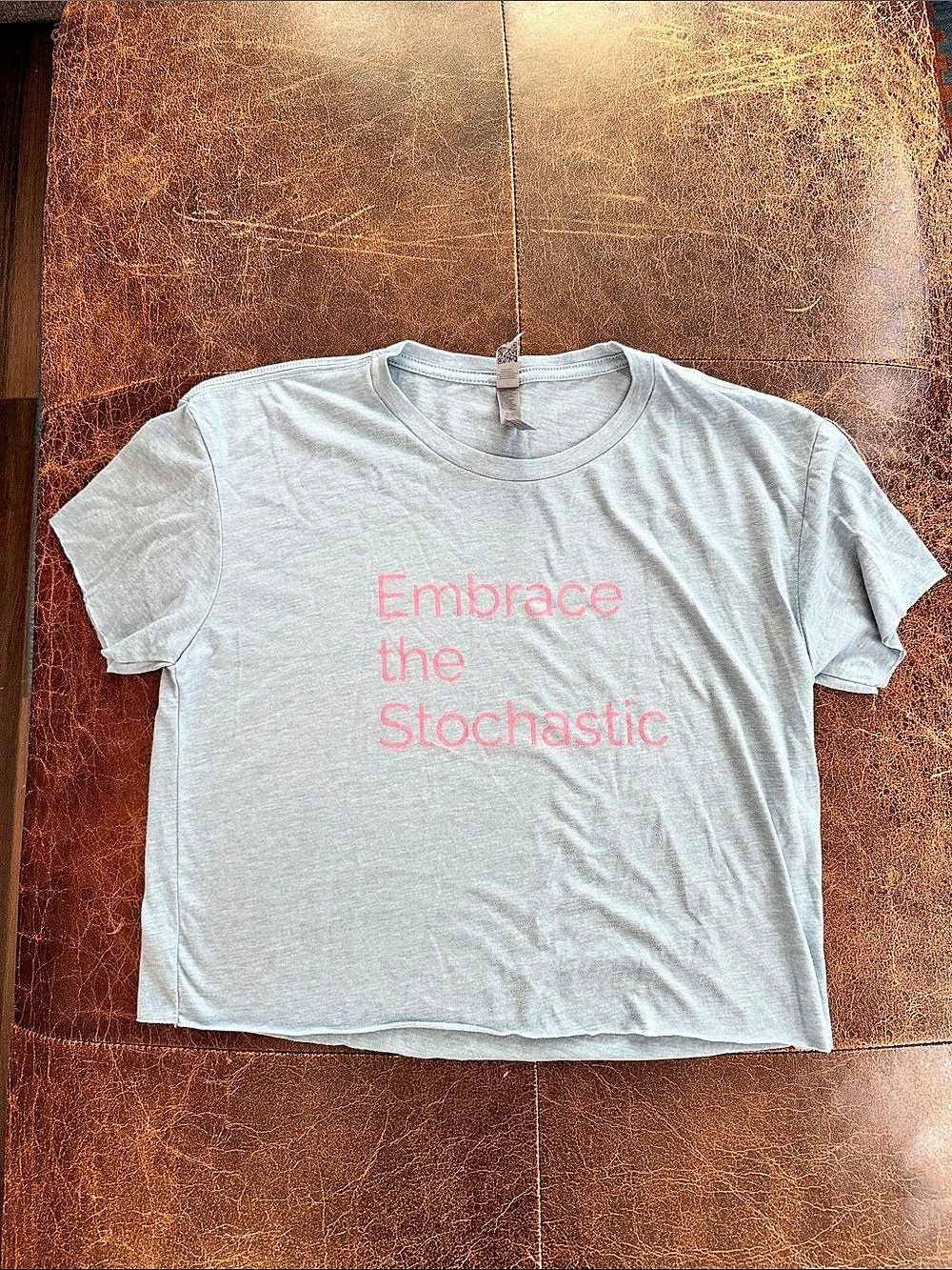 Embrace the Stochastic Graphic Short Sleeve Crop Tee Blue & Pink Size